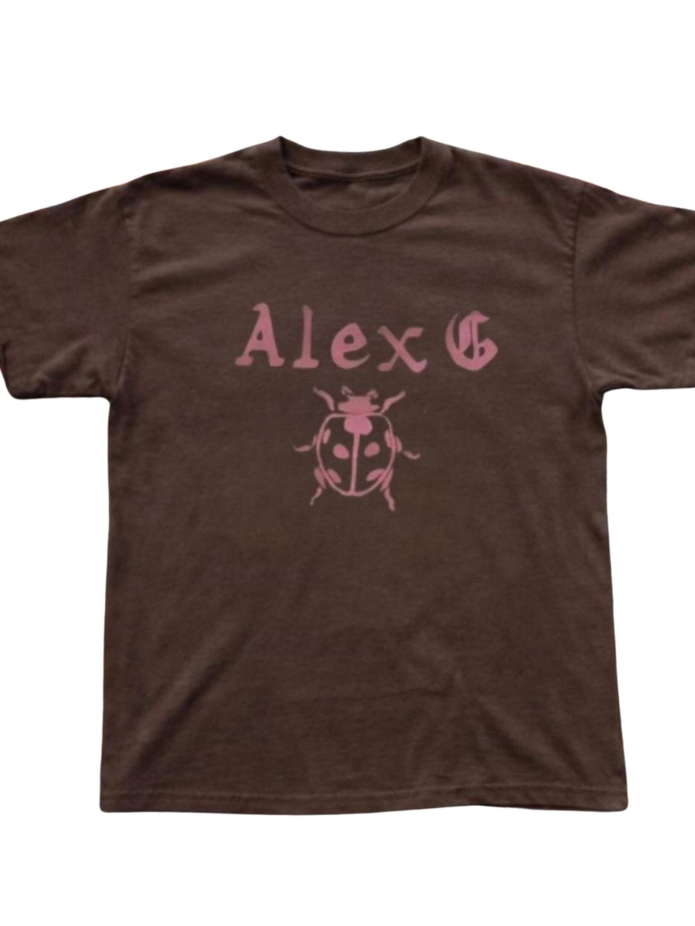 Gildan Brown Tee with Pink 'Alex G' and Ladybug Graphic
